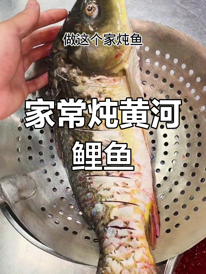 黄河鲤鱼家常炖法,麻辣鲜香又入味