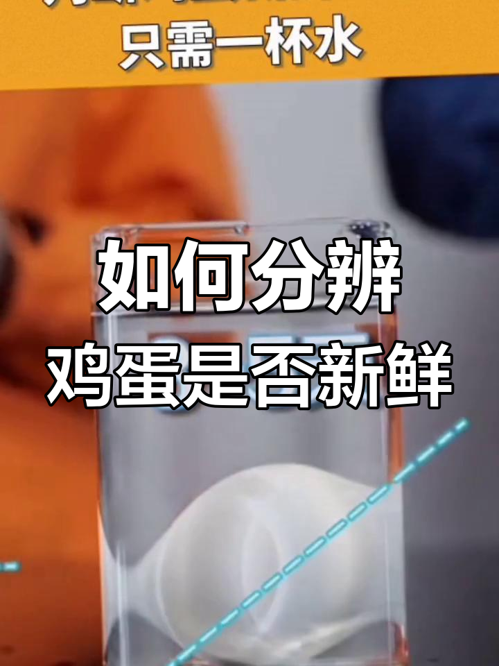 鸡蛋新鲜度辨别法,冷水实验教你如何判断