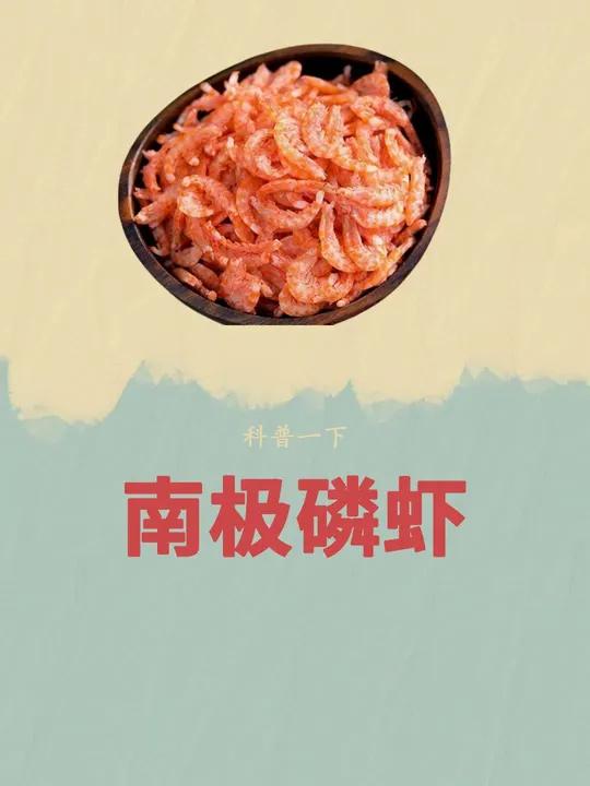 这个结果估计是西方万万都·没想到的!科普 磷虾 南极磷虾 好吃到停不下来 虾皮