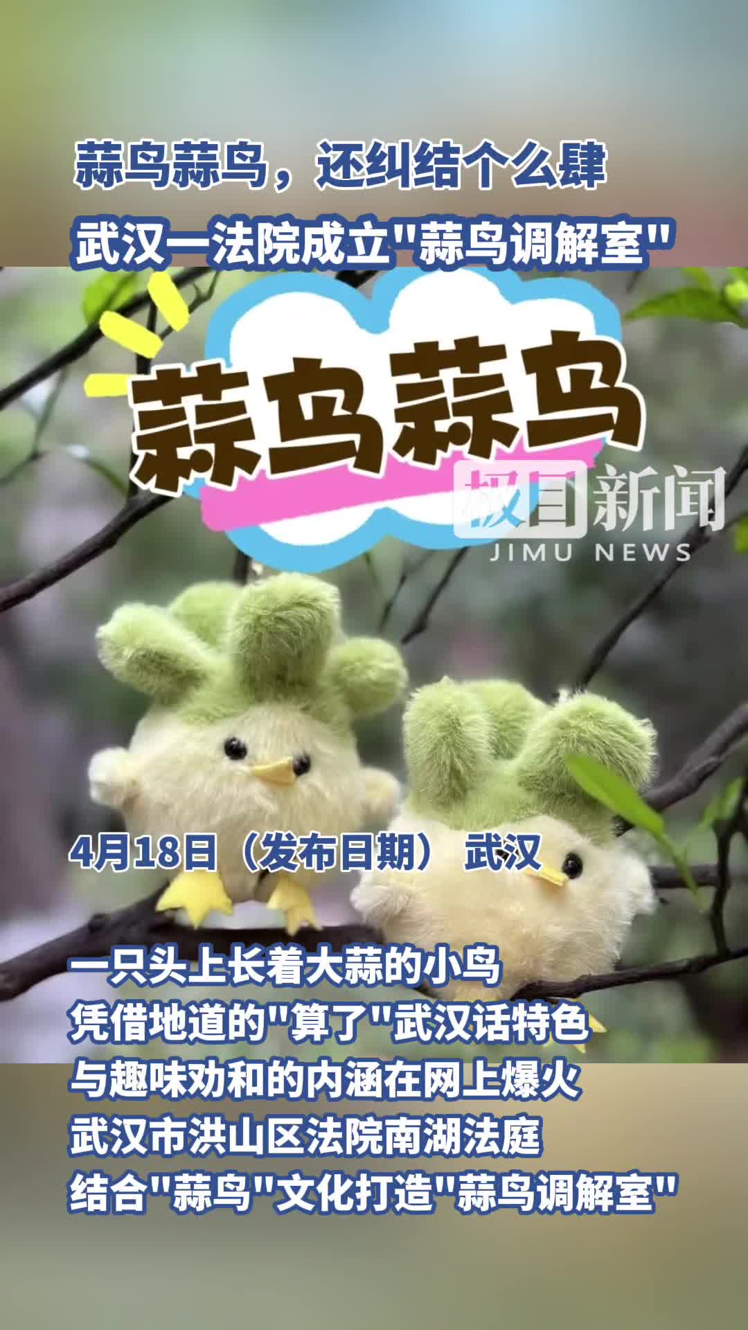 「视频」“蒜鸟蒜鸟,还纠结个么肆” 武汉一法院成立“蒜鸟调解室”