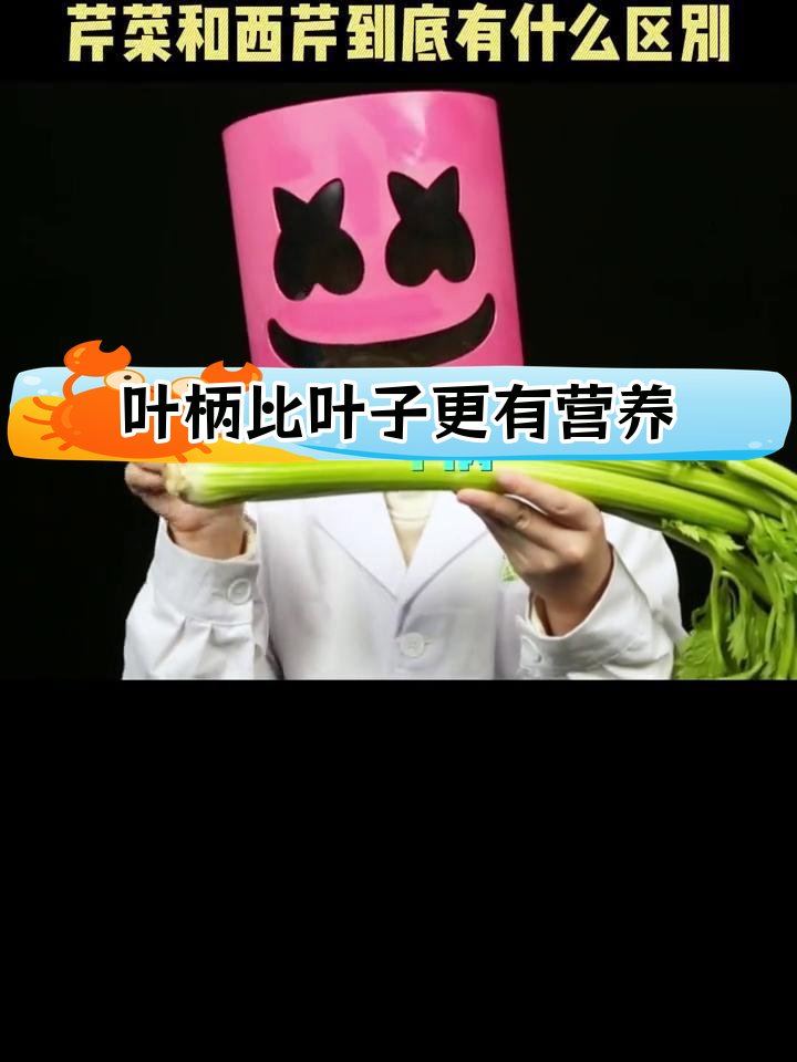 西芹与芹菜的营养差异