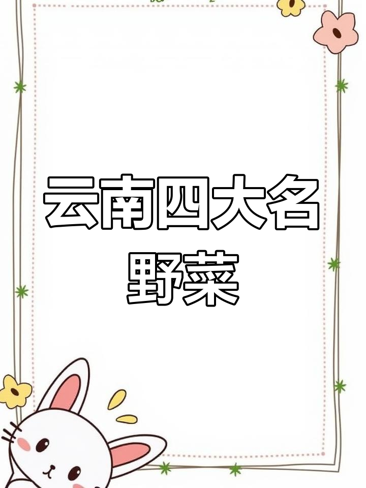 云南野菜大揭秘:400多种美味,每天都能换着吃