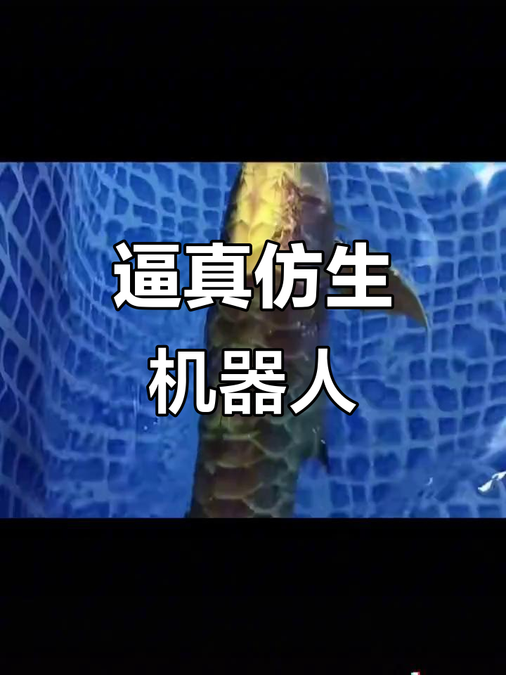 仿生鱼技术惊艳钓鱼界,未来钓法大变革