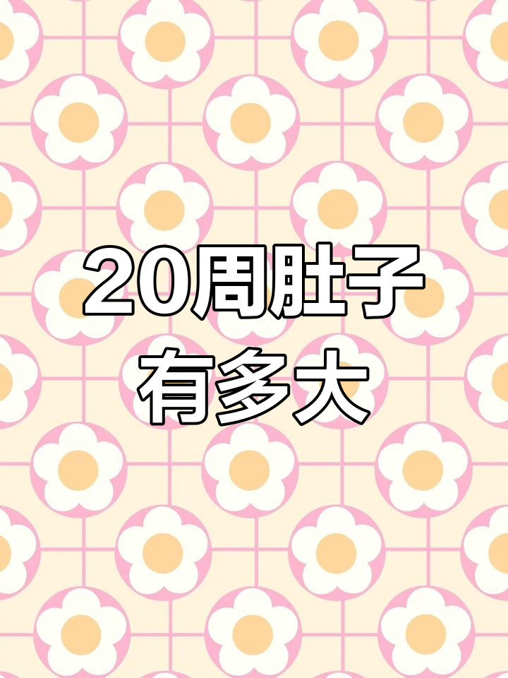 20周肚子大小揭秘