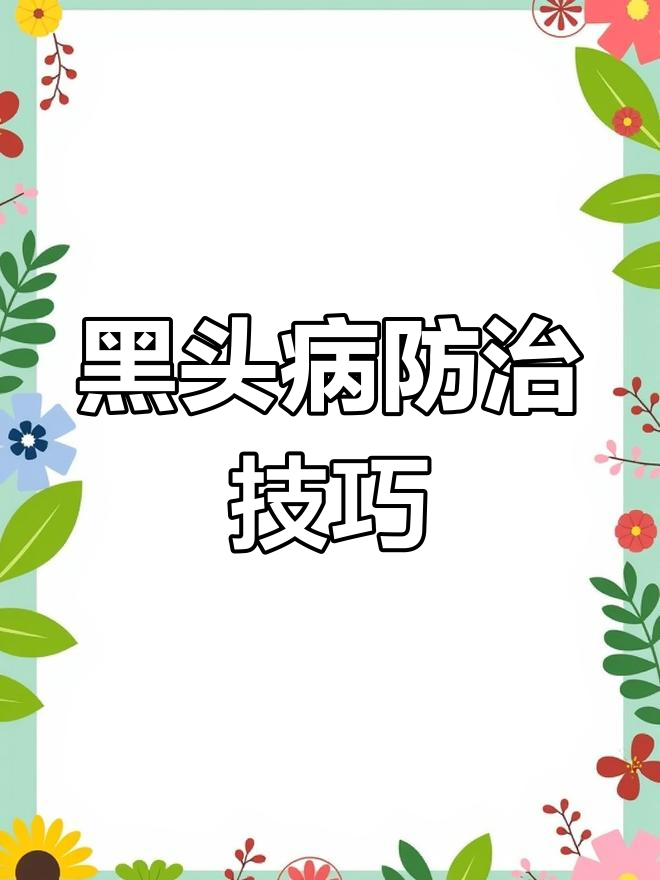 散养鸡常见黑头病防治方法,甲硝唑片轻松解决