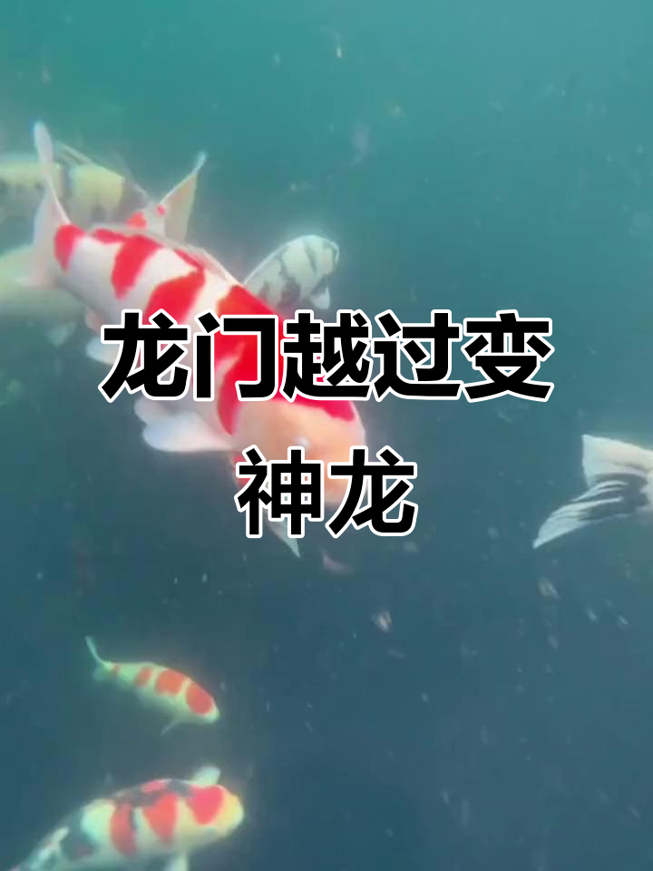 鲤鱼跃龙门,化龙成真!国风手绘鼠标垫送祝福