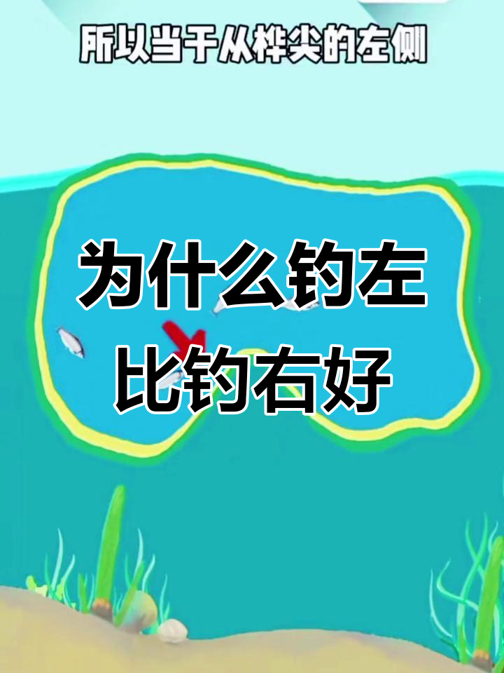 钓鱼技巧:为何钓左不钓右?揭秘鱼游动规律