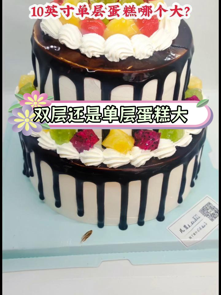 6+8英寸双层蛋糕与10英寸单层蛋糕,哪个更大?