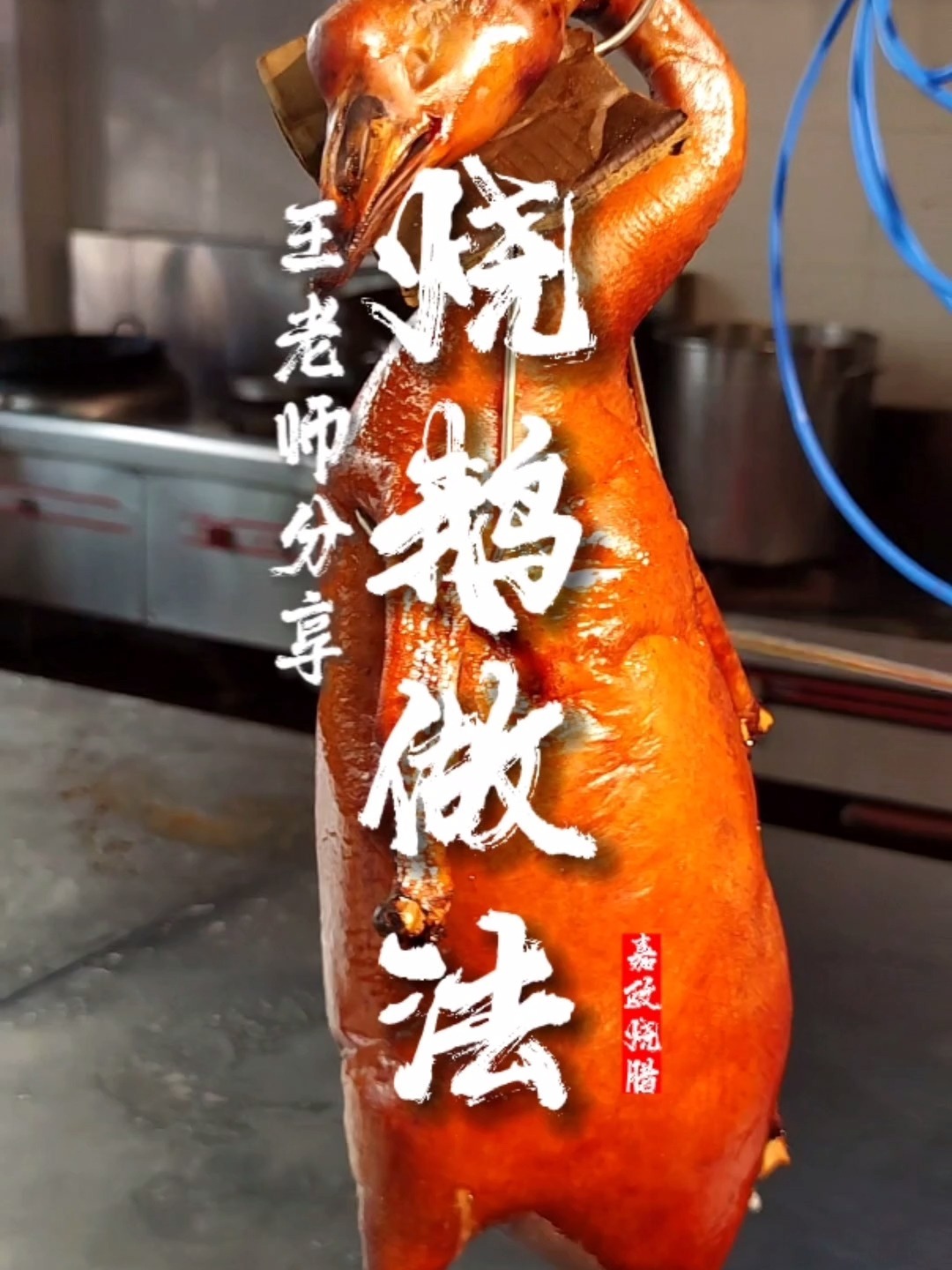 今天教你们如何区分公鹅母鹅