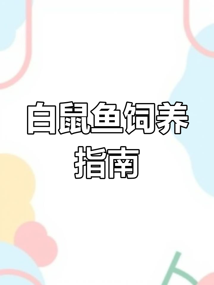 白鼠鱼饲养全攻略:水质、温度与混养技巧一网打尽