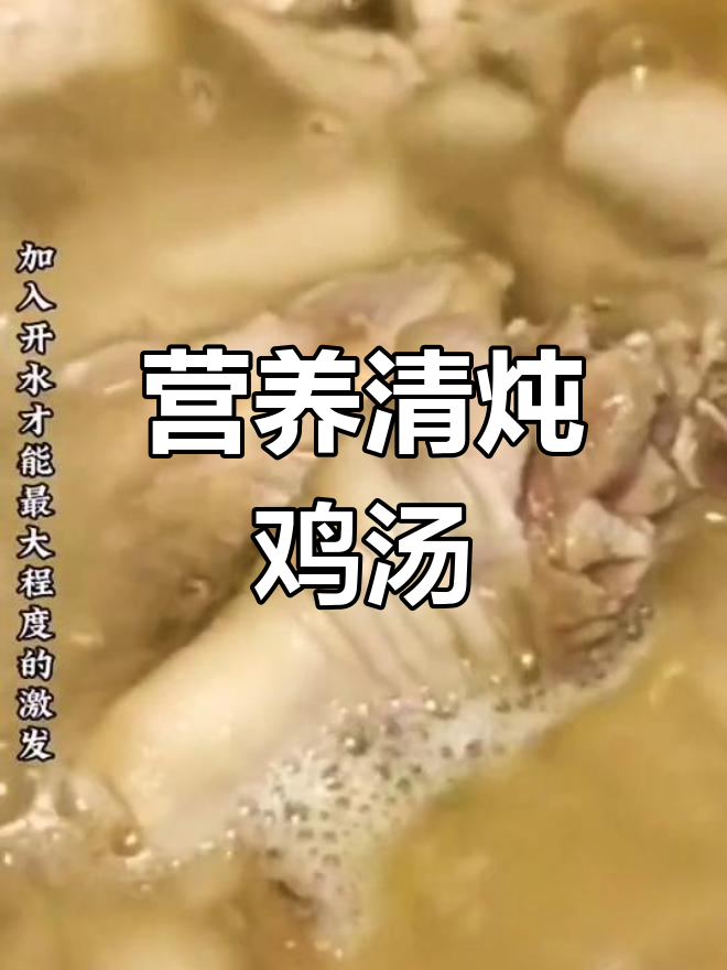 清炖鸡汤的完美做法,加入莲子红枣更鲜美