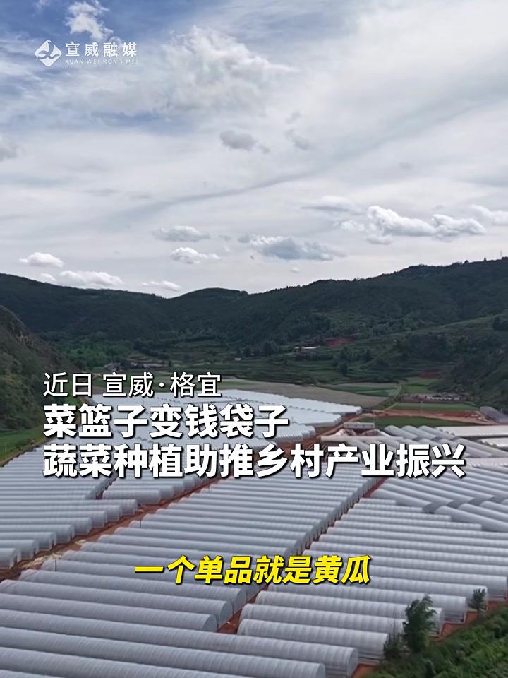 下一步,格宜镇将紧抓北京新发地(宣威)国际绿色农副产品批发市场暨冷链物流园项目建设契机,聚