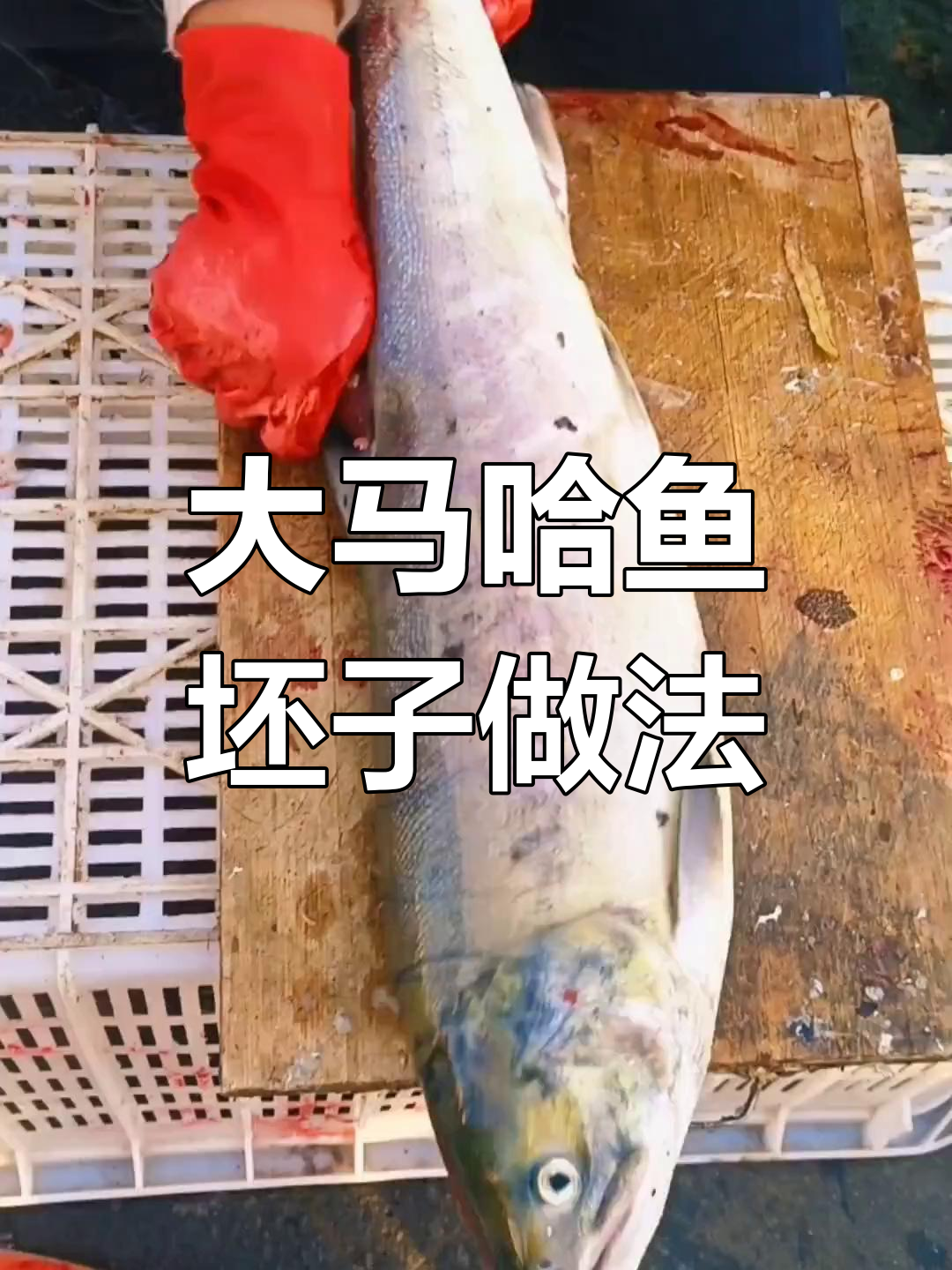 新鲜大马哈鱼子酱制作方法