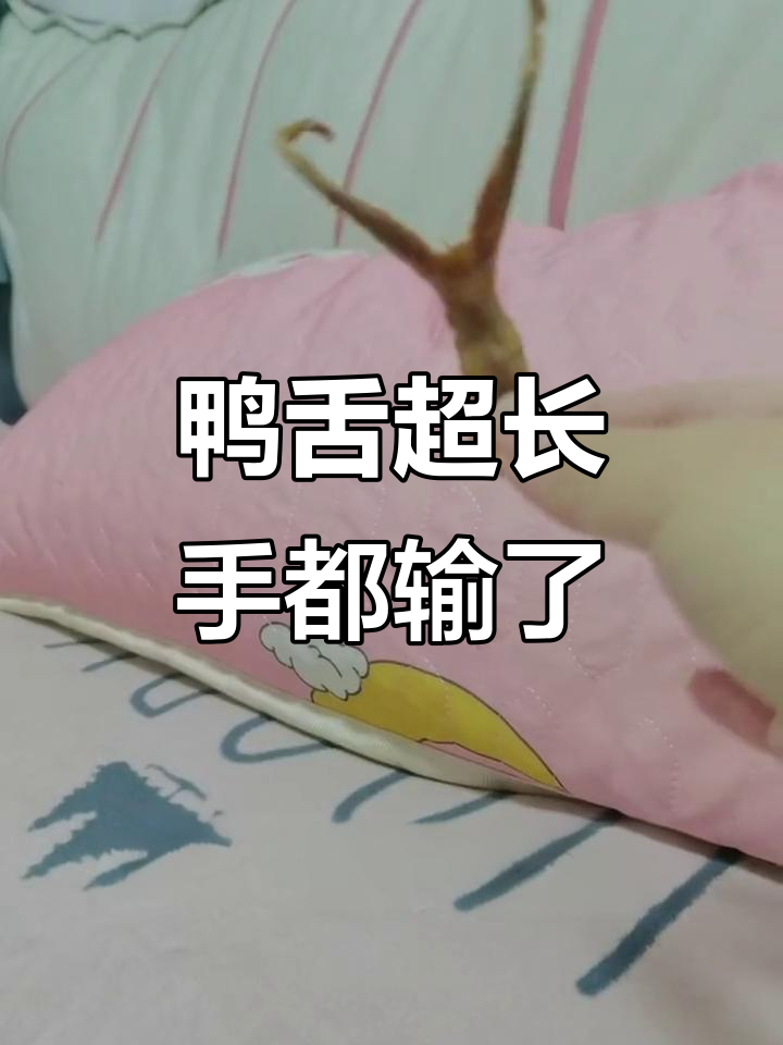 绝味鸭脖的鸭舌竟然这么长，比我的手还大！