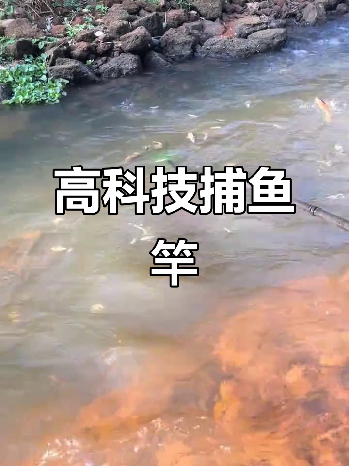 越南捕鱼新装备,高科技一体杆助力渔民高效作业