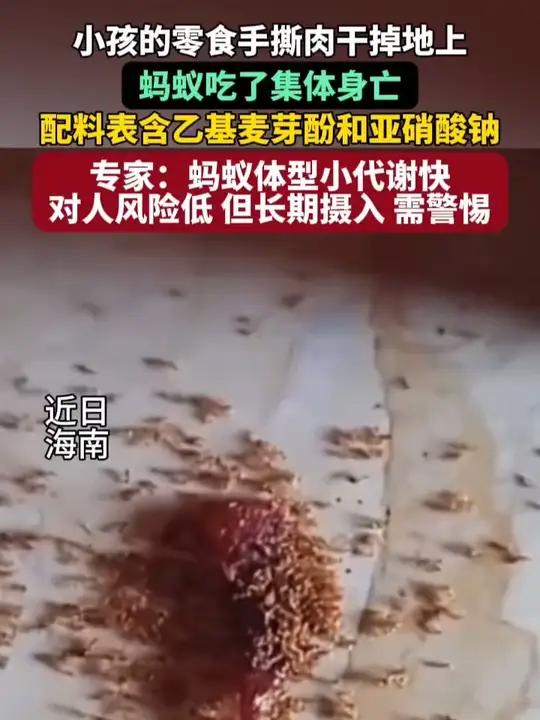 小孩的零食手撕肉干掉地上，蚂蚁吃了集体身亡。配料表含乙基麦芽酚和亚硝酸钠。专家：蚂蚁体型小