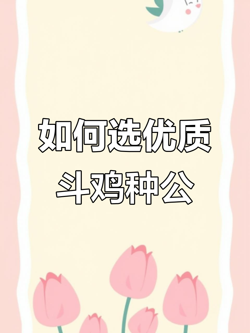 挑选斗鸡种公的秘诀,这些要点不容忽视