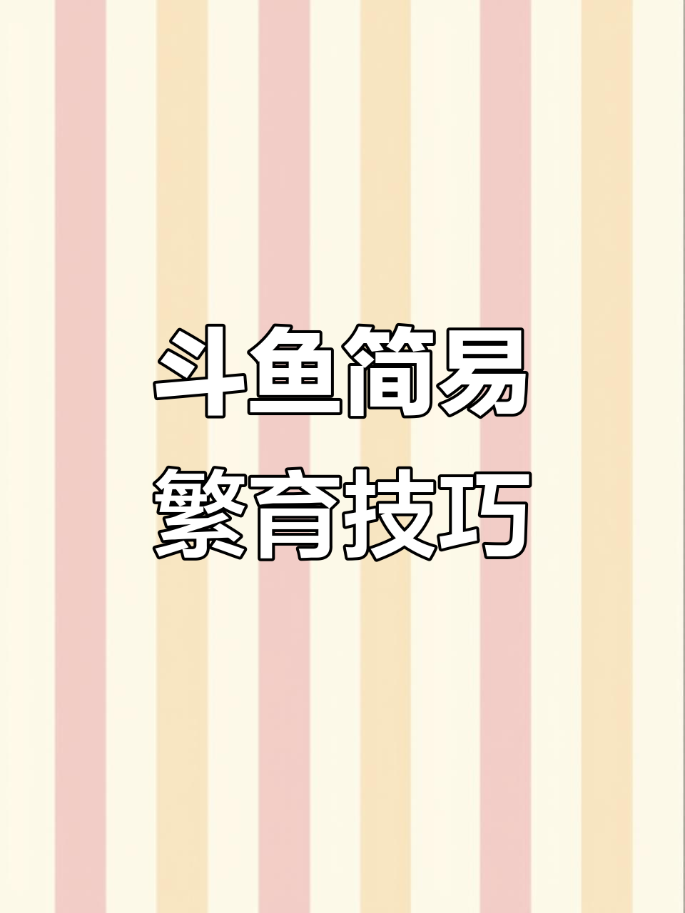 中国斗鱼最简单繁殖法,轻松搞定!