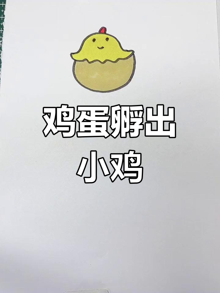 小鸡的成长与繁衍:从蛋到小鸡,再下新蛋