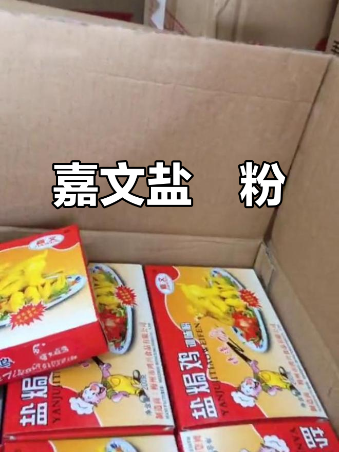 梅州嘉文盐焗粉,家庭商用必备好调料