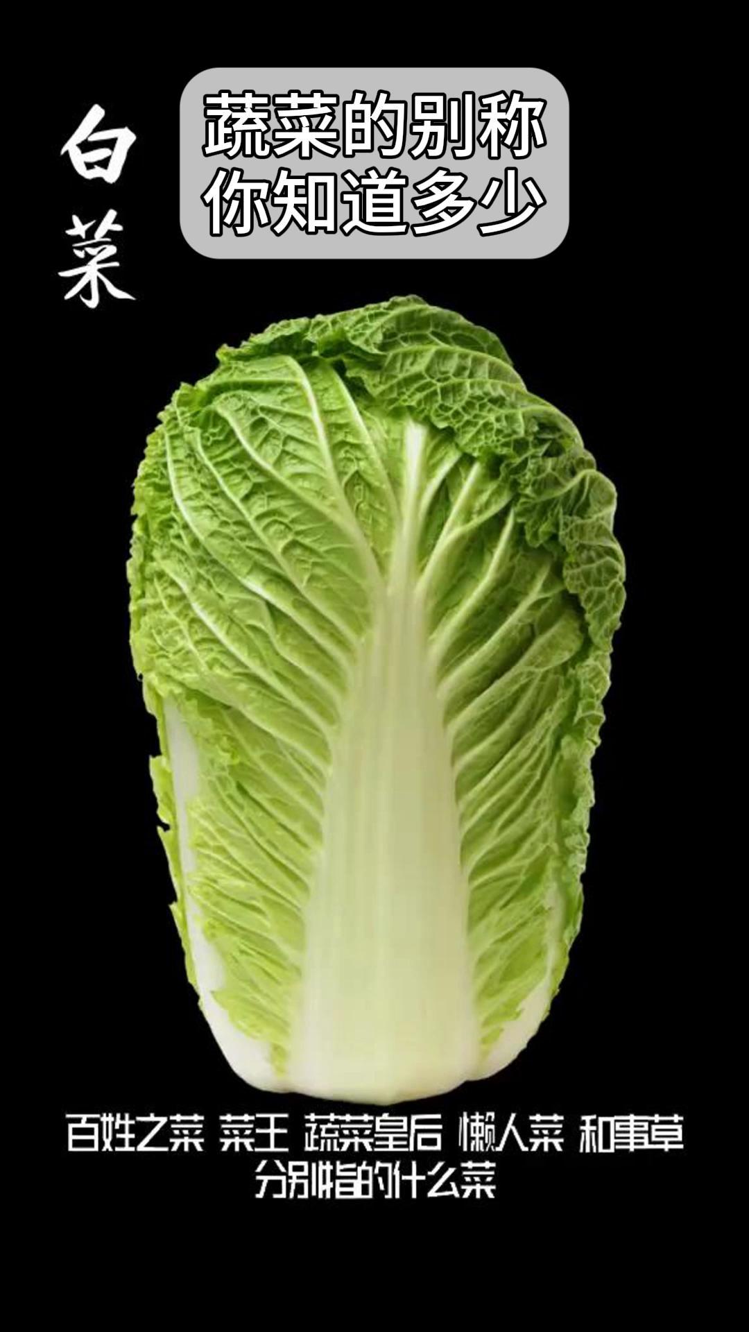 蔬菜的别称,你知道多少