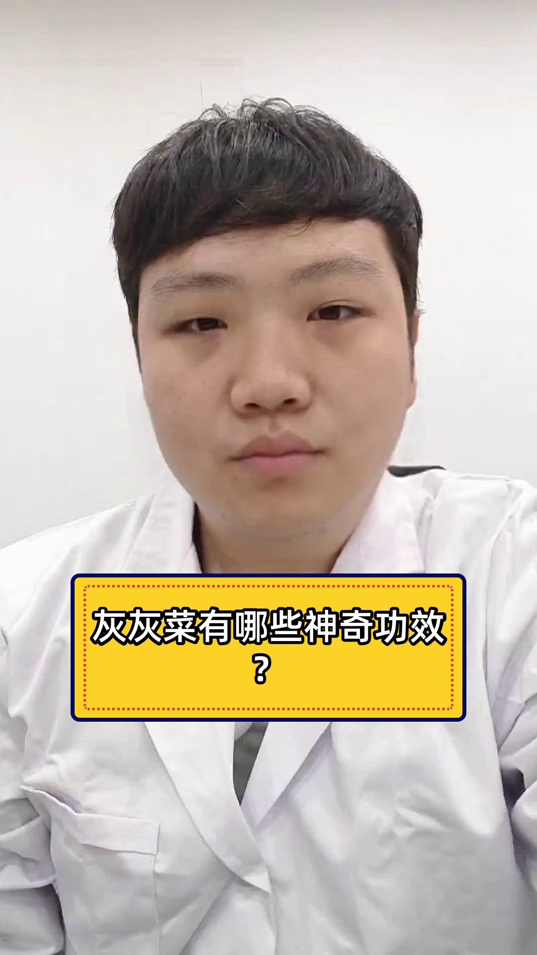 灰灰菜有哪些神奇功效?