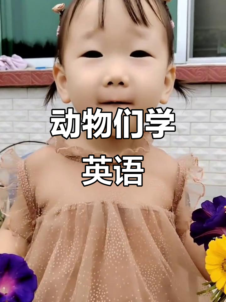 小狗、大象和兔子的英语大冒险,超萌互动!
