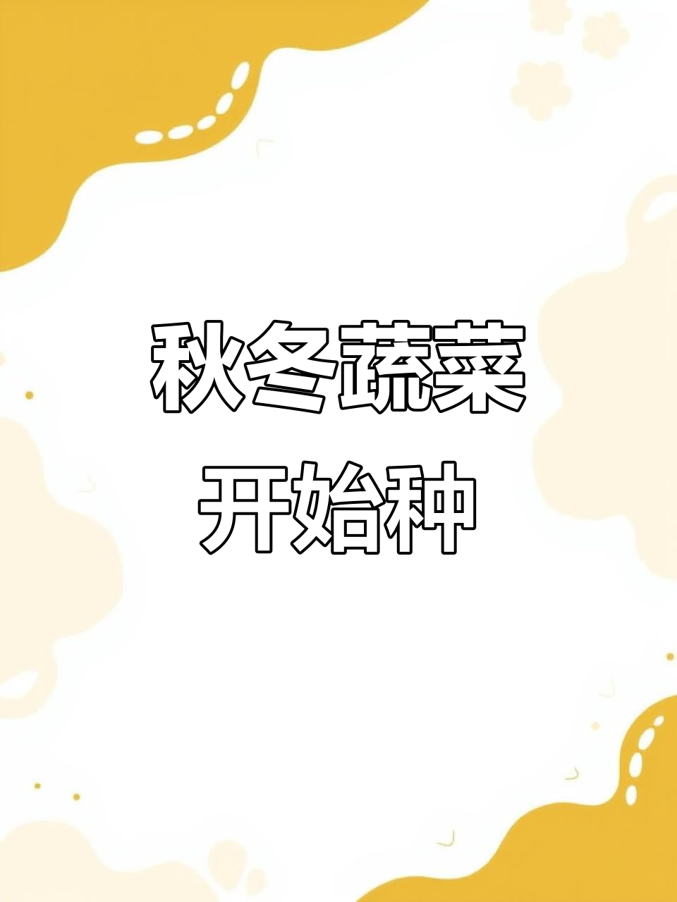 白露到,秋冬季蔬菜种植正当时!北方南方都能种这些菜