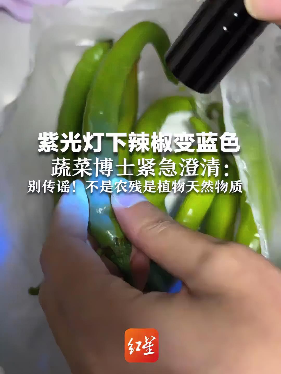 专家解释紫光灯下蔬菜变蓝色 是植物天然物质 近日,有网民发布用紫光灯照射辣椒等蔬菜呈现蓝色