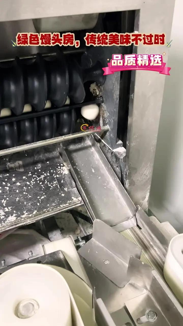 在家一个人不用起早费力开关馒头房 馒头机