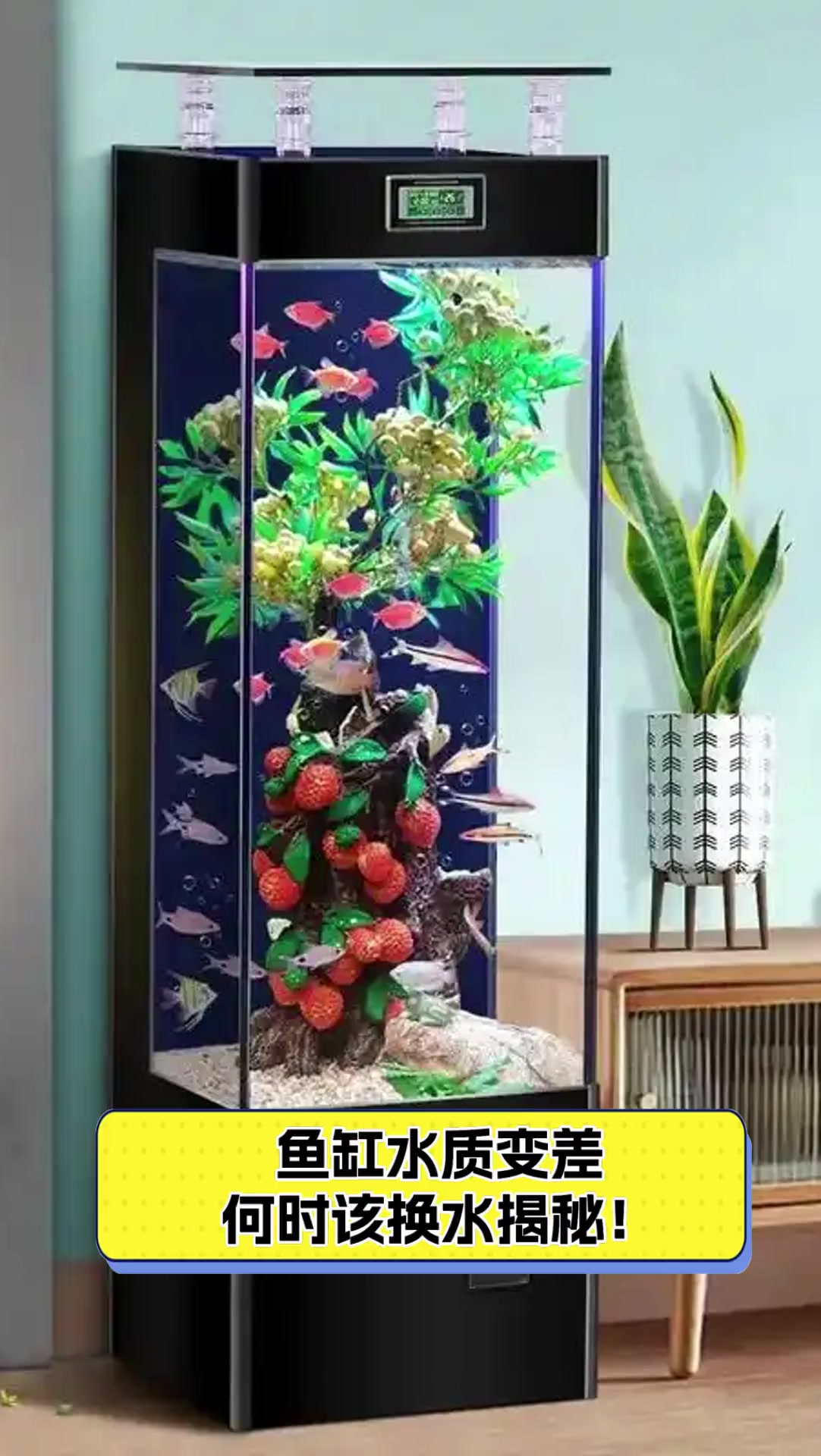 鱼缸水质变差,何时该换水揭秘!