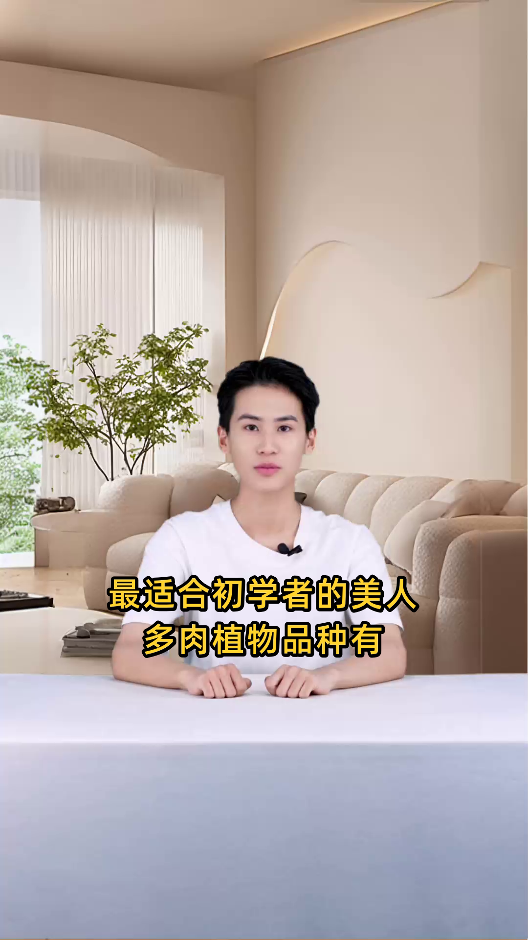 最适合初学者的美人多肉植物品种推荐,容易养护且观赏性强