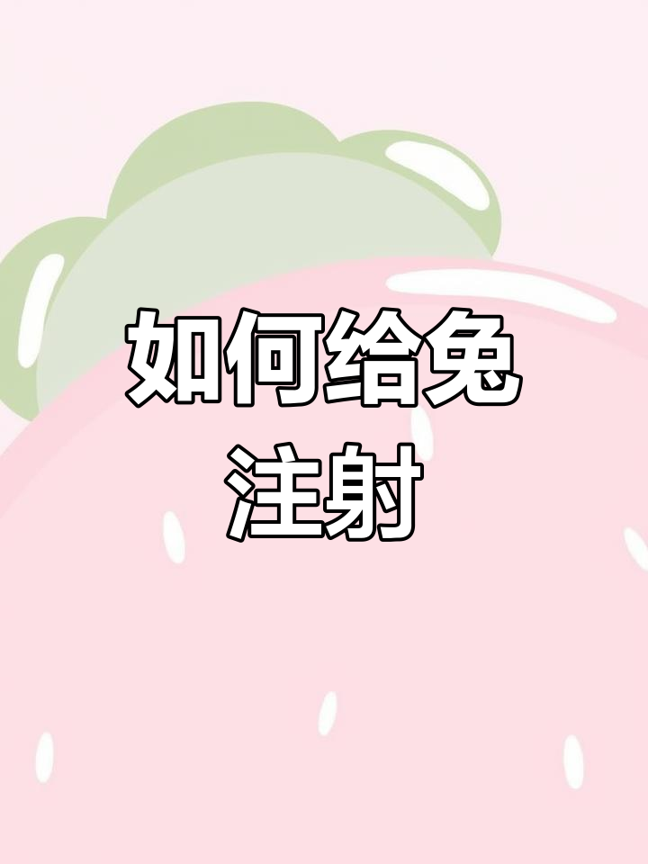 兔子打针技巧全解析