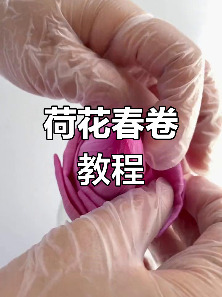 越南春卷皮制作技巧大揭秘,轻松做出透明褶皱效果