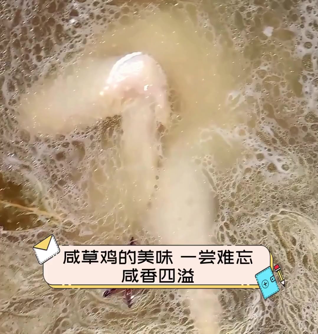 咸草鸡的美味,一尝难忘,咸香四溢