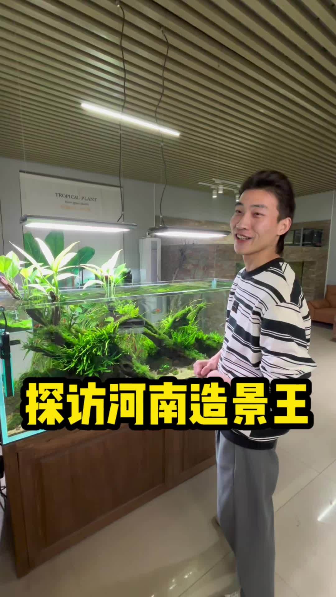 探访一个河南造景王!燊!工作室,看看有什么好玩的,最后的大缸真的绝了!水族 养鱼 水草缸 