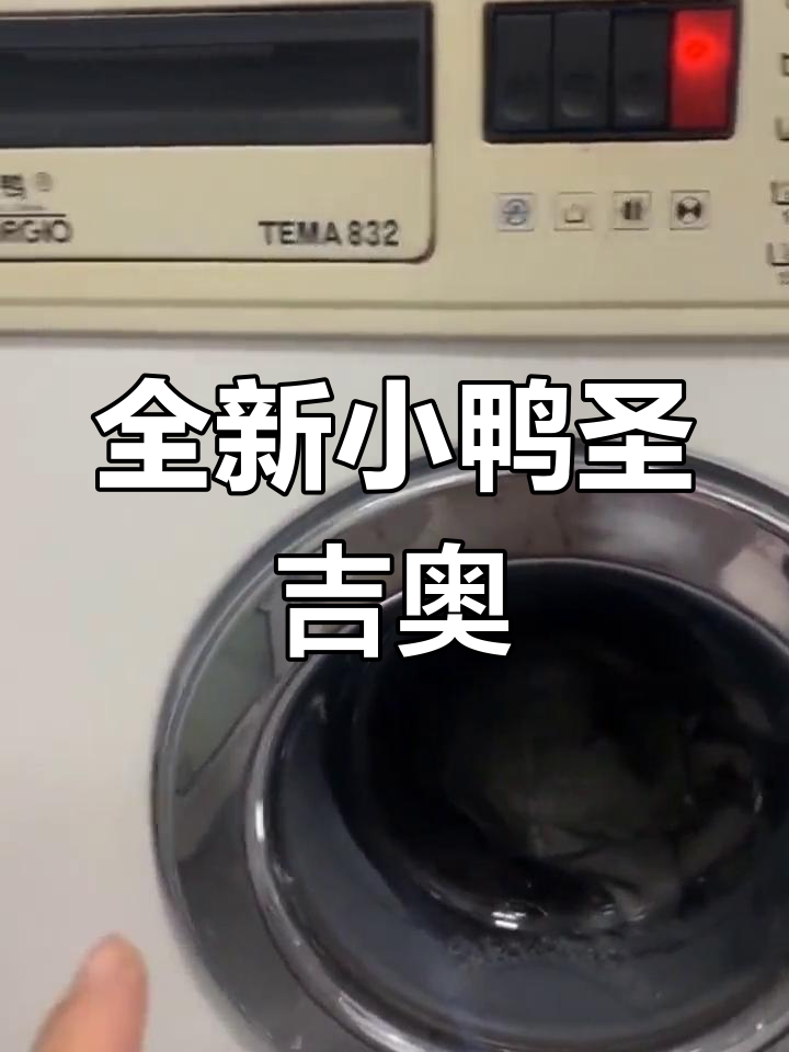 一台20年前崭新小鸭圣吉奥TEMA832,依旧如新