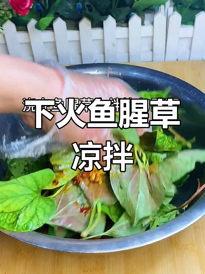 鱼腥草凉拌菜,简单又下火,快来学做这道快手美食