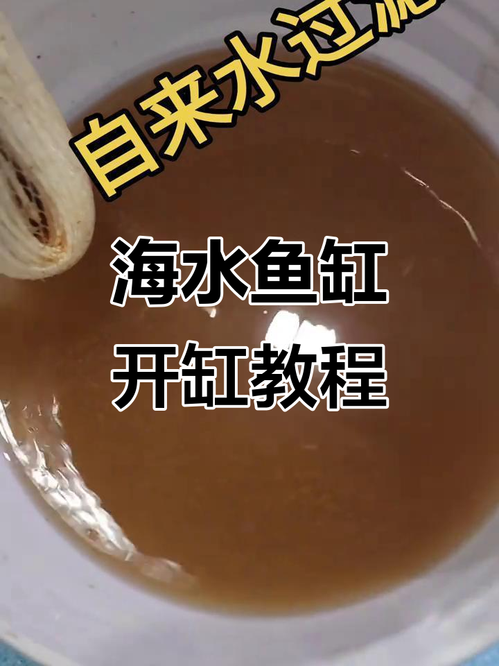 海缸过滤系统入门,不锈钢过滤器效果评测