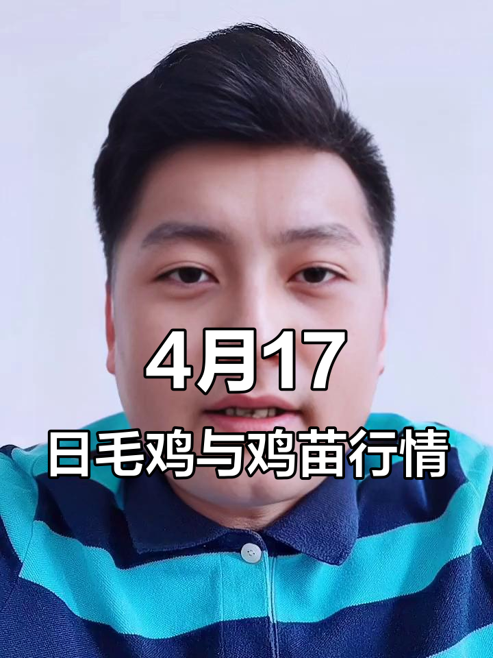 4月17日毛鸡价格稳,鸡苗暴涨!市场走势如何?