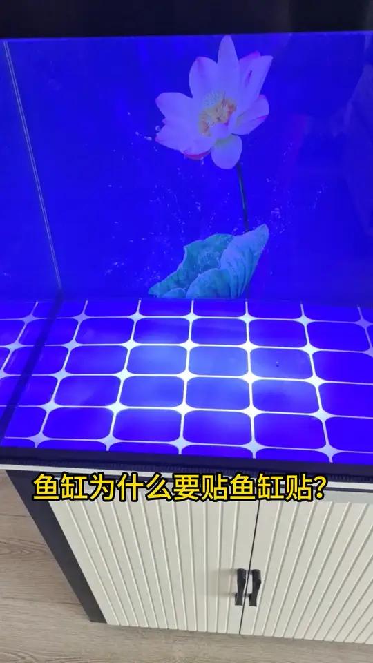 鱼缸背景贴纸装饰画蓝黑白格子纯色水族乌龟草缸造景壁纸 方格鱼缸贴蓝格鱼缸贴鱼缸背景纸鱼缸造