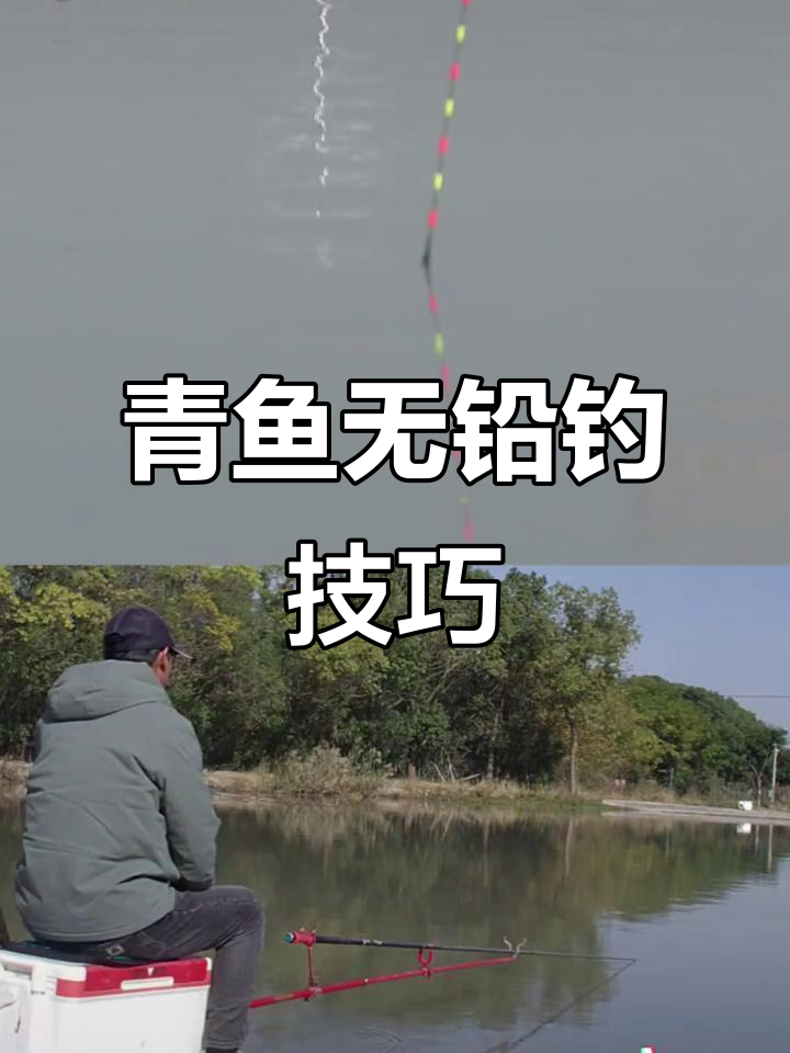 无铅钓法解析:如何判断青鱼漂相,避免空竿和炸窝