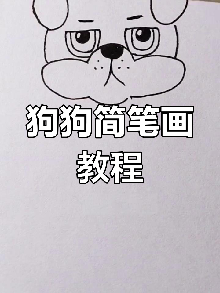 哈巴狗吃肉骨头,眼睛黑黝黝超可爱
