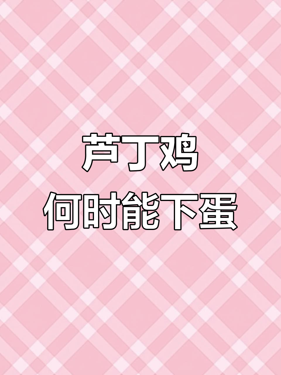 芦丁鸡多久开始下蛋?产蛋高峰期如何提高产量