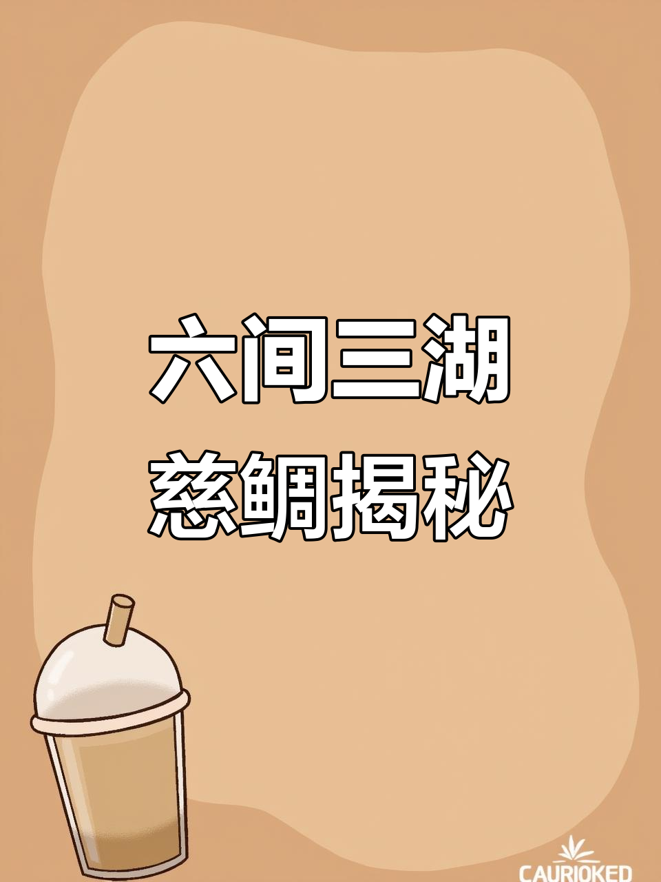 伊巴卡六间三湖慈鲷:探索神秘水族世界
