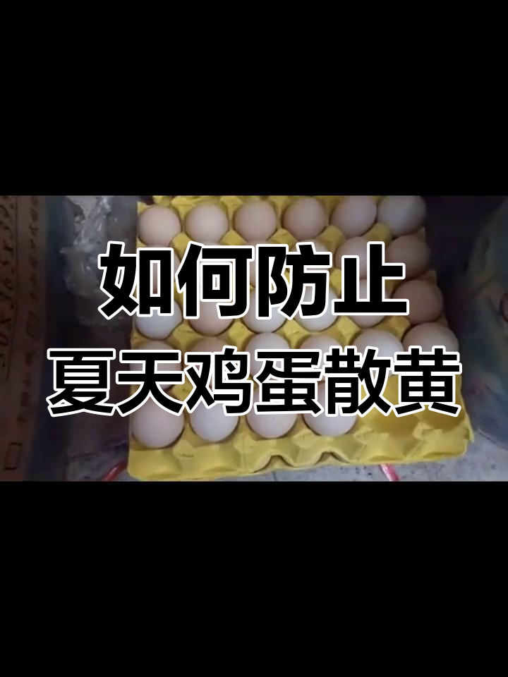 夏季鸡蛋储存小技巧,避免散黄蛋影响品质