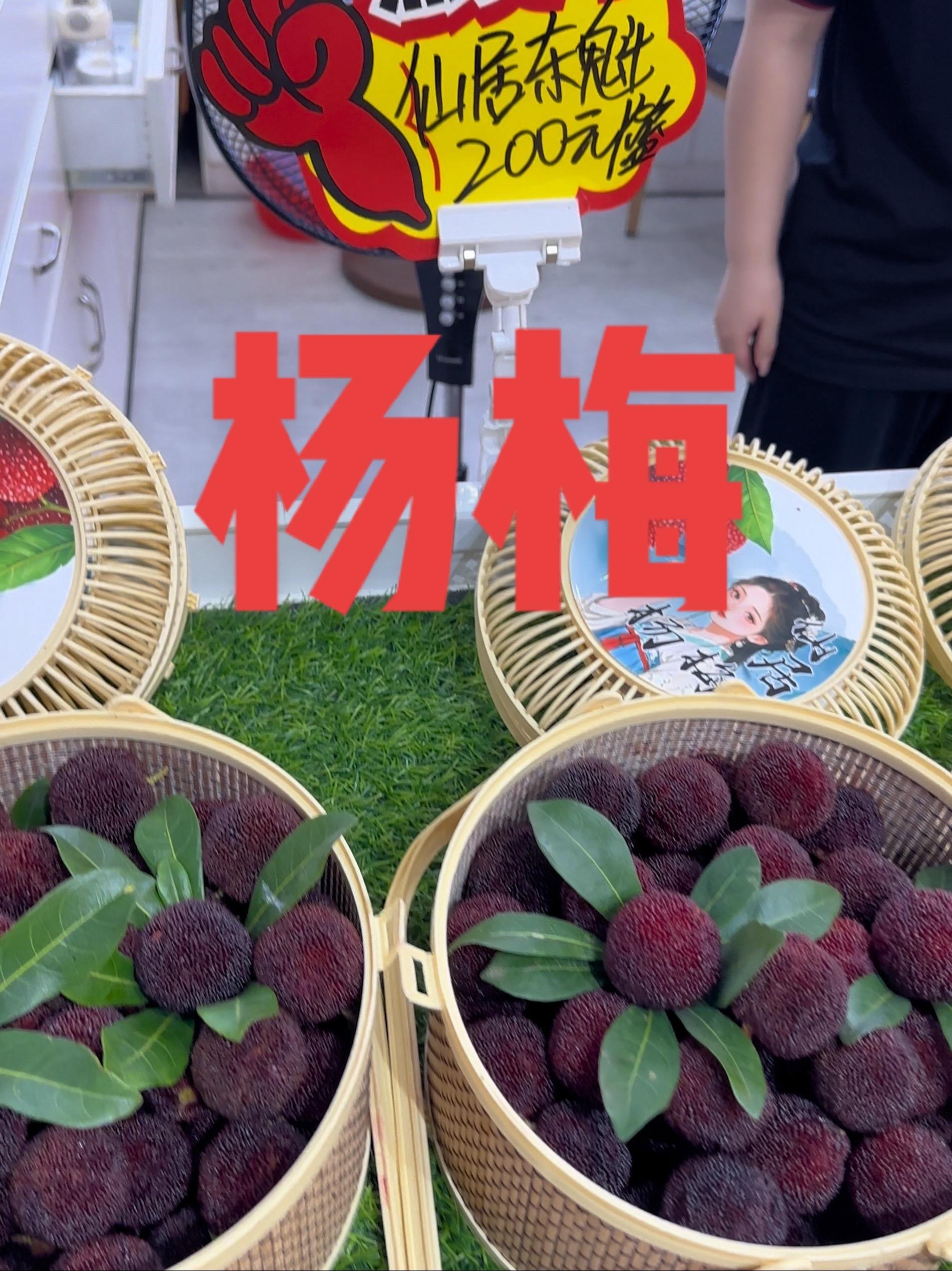 仙居杨梅有点贵 新鲜采摘 吃杨梅的季节 原创视频 杨梅熟了 快来一起尝个鲜