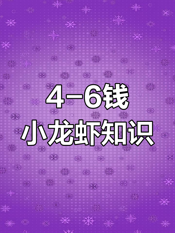 小龙虾规格揭秘:4-6钱中青小龙虾,你了解吗?