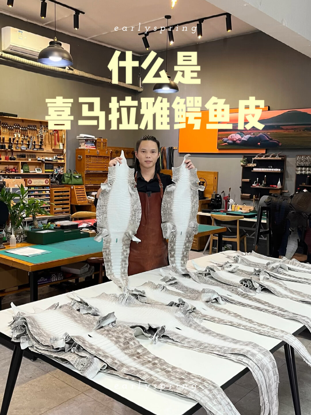 什么是喜马拉雅鳄鱼皮