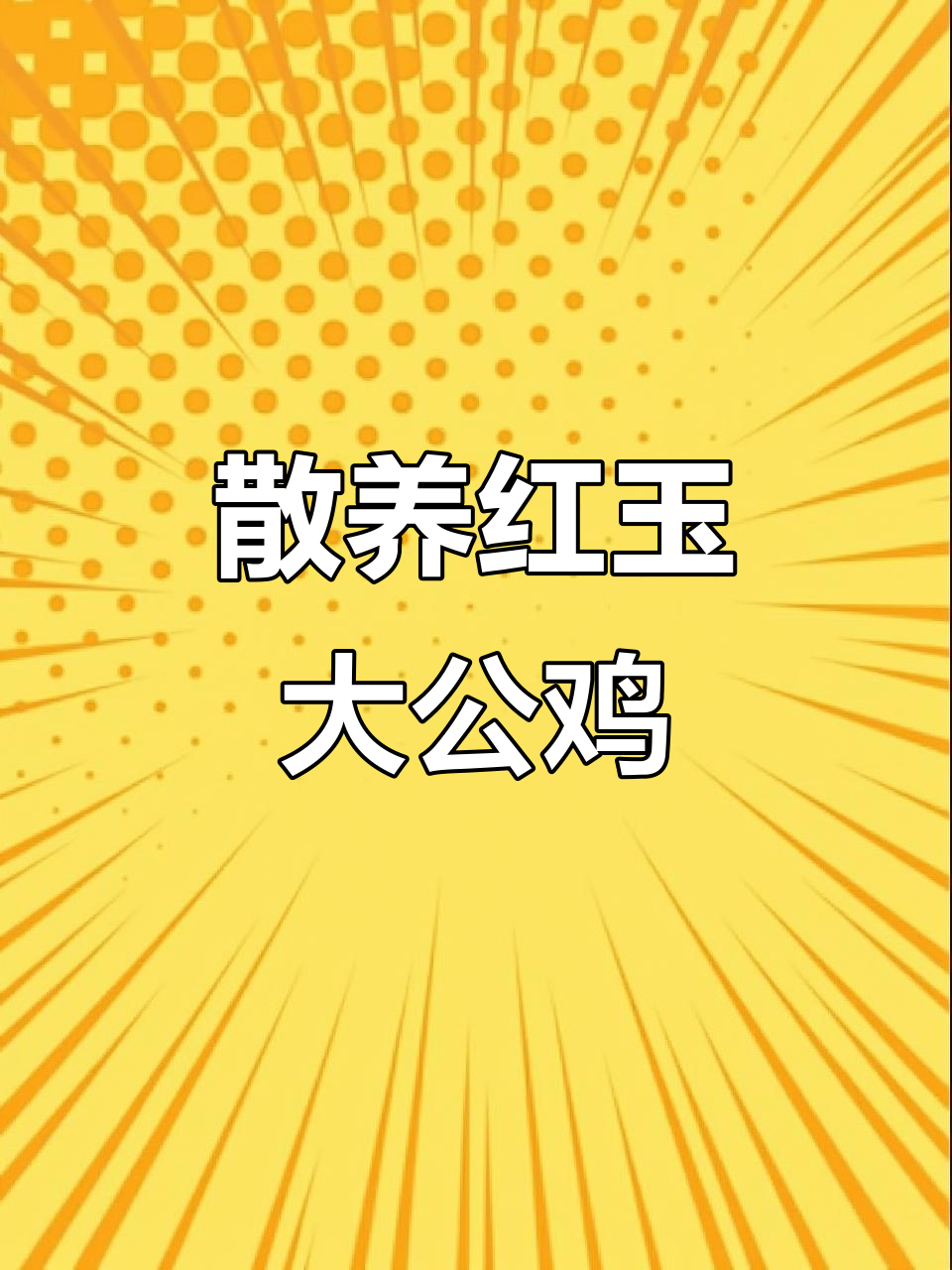 红玉380大公鸡，三个月长十八斤，双黄蛋母鸡养殖技巧